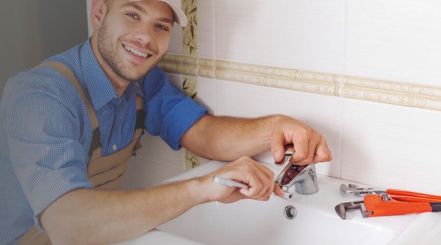 Professional Leak Detection Services services in Forestville, MI